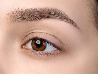 Obraz premium Close up view of beautiful brown female eye. Perfect trendy eyebrow. Good vision, contact lenses, brow bar or fashion eyebrow makeup concept