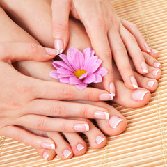 Care for beautiful woman skin and nails. Pedicure and manicure at beauty salon. Woman legs, hands with flower on bamboo. Spa therapy. Closeup photo of female feet with white french manicure, pedicure