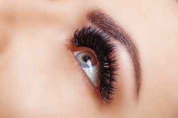 Eyelash Extension Procedure. Woman Eye with Long Eyelashes. Close up, selective focus. Hollywood, russian volume - 230405579