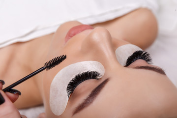 Eyelash Extension Procedure. Woman Eye with Long Eyelashes. Close up, selective focus. Hollywood, russian volume - 230405717