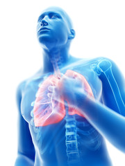 3d rendered illustration of a man having an inflamed lung
