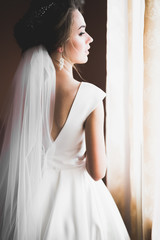 Luxury bride in white dress posing while preparing for the wedding ceremony