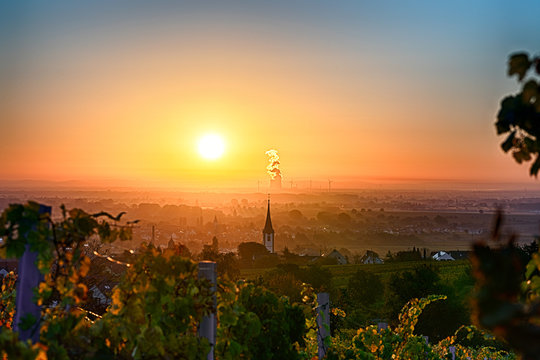Sonnenaufgang in der Pfalz
