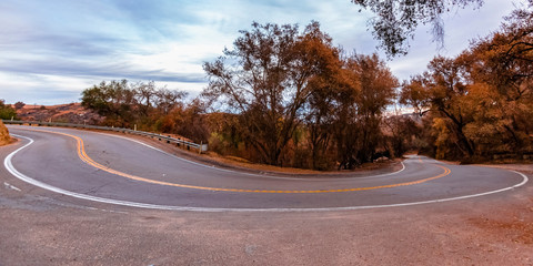 Fototapeta premium Winding road with trees and sky view in Fallbrook