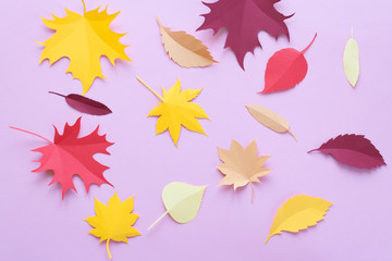 Fototapeta na wymiar Autumn leaves on pink background. Autumn concept
