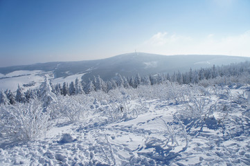 Blick auf das Böhmische Erzgebirge/dick bereifte Büsche und Fichten auf dem Fichtelberg, im Hintergrund der Klinovec im böhmischen Teil des Erzgebirges, traumhafte Winterlandschaft
