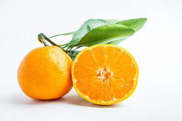 Fresh leafy tangerine