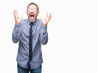 Naklejka premium Middle age hoary senior business man wearing glasses over isolated background celebrating mad and crazy for success with arms raised and closed eyes screaming excited. Winner concept