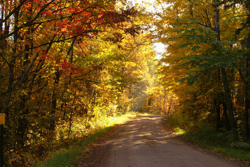 Fototapeta na wymiar A gravel road surrounded in autumn surrounded by trees with yellow leaves, red leaves, green leaves and green grass near Hinckley Minnesota
