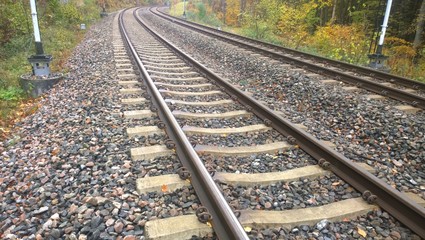 Fototapeta premium Railway tracks in the forest. Autumn