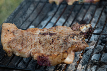Traditional way of barbeque in South Africa called a braai