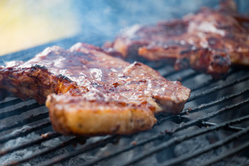 Traditional way of barbeque in South Africa called a braai