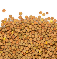 lentils isolated on white