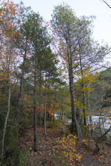 Fototapeta premium paisaje natural con cielo