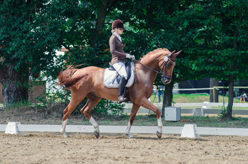 Obraz premium Dressurreiterin im Trab