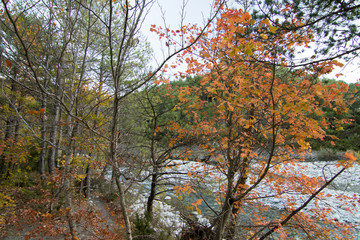 paisaje natural con cielo