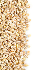 pearl barley isolated on white backrgound