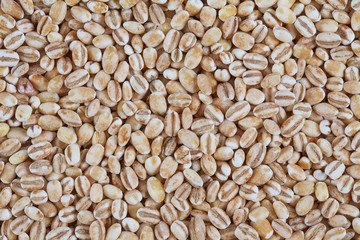 pearl barley isolated on white backrgound