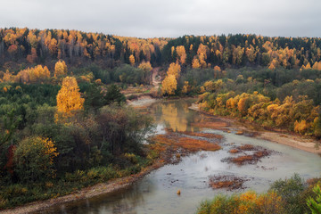 small river in the autumn forest on a cloudy day