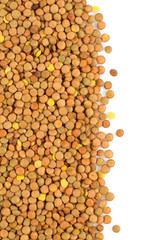 lentils isolated on white
