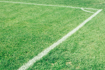 football field, green lawn with a line drawn with white paint