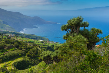 La Palma Kanaren canarias canary islands travel reise holiday spain insel vulkan lava atlantik urlaub erholung relax grün grüne