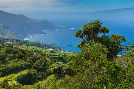 La Palma Kanaren canarias canary islands travel reise holiday spain insel vulkan lava atlantik urlaub erholung relax gr&uuml;n gr&uuml;ne