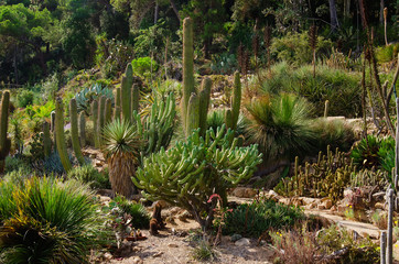Marimurtra botanical garden in Blanes, Costa Brava, Spain