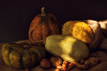 Autumn pumpkins in dark rustic cozy style