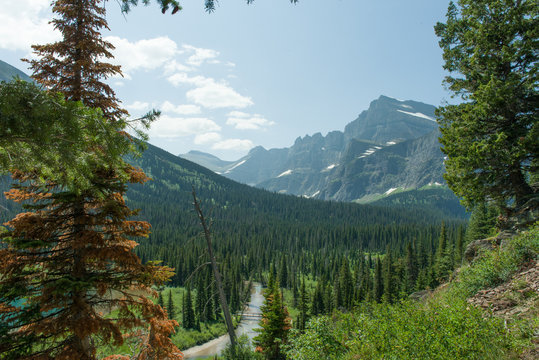 รูปภาพGrinnel – เลือกดูภาพถ่ายสต็อก เวกเตอร์ และวิดีโอ159 | Adobe Stock