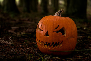 scary halloween pumpkin in the forest
