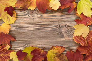 Naklejka na ściany i meble frame of bright autumn leaves on textured wooden surface
