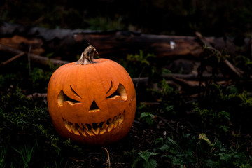 scary halloween pumpkin in the forest
