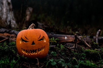 scary halloween pumpkin in the forest