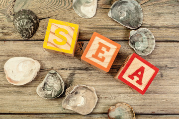 The Word SEA Formed By Wooden Blocks on wooden background