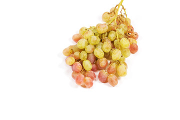 Light grapes on white background