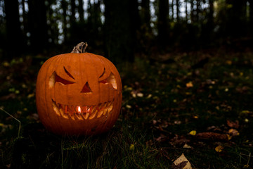 scary halloween pumpkin in the forest