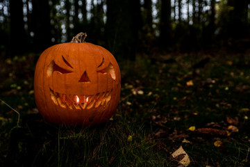 scary halloween pumpkin in the forest