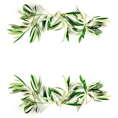 An overhead photo of a frame of olive tree branches with a place for text, shot from above on a white background with copyspace