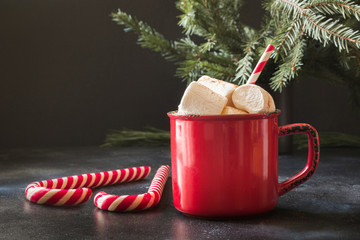 Mok warme chocolademelk en cacao met marshmallows met kerstboomtakken op zwart bord. Kerst vakantie.