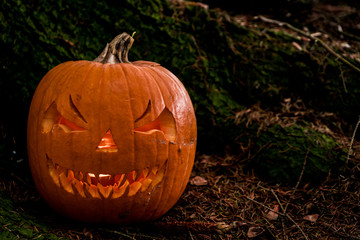 scary halloween pumpkin in the forest