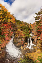 Fototapeta na wymiar Autumnal leaves and Ryuzu Falls - Fall of Japan