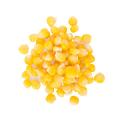Corn seeds on white background
