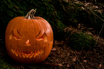 scary halloween pumpkin in the forest