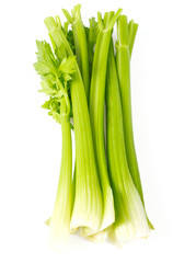 celery isolated on white