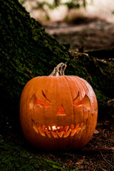 scary halloween pumpkin in the forest