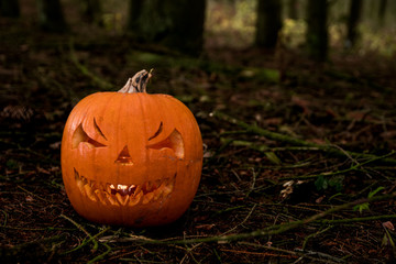 scary halloween pumpkin in the forest