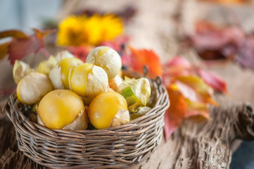 Organic Physalis. Branches with green berries, physalis harvest in the Summer garden on a wooden table