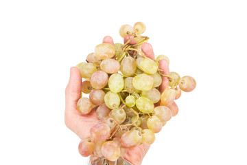 The bright berries of the grapes in the hand on white background