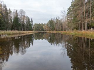 Fototapeta na wymiar River landscape in autumn. Farnebofjarden national park in Sweden.